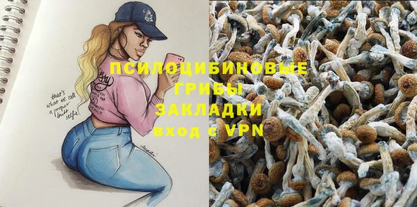 крисы Гусиноозёрск