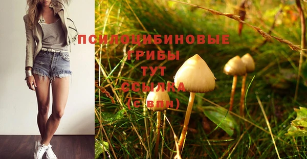 синтетический гашиш Гусев